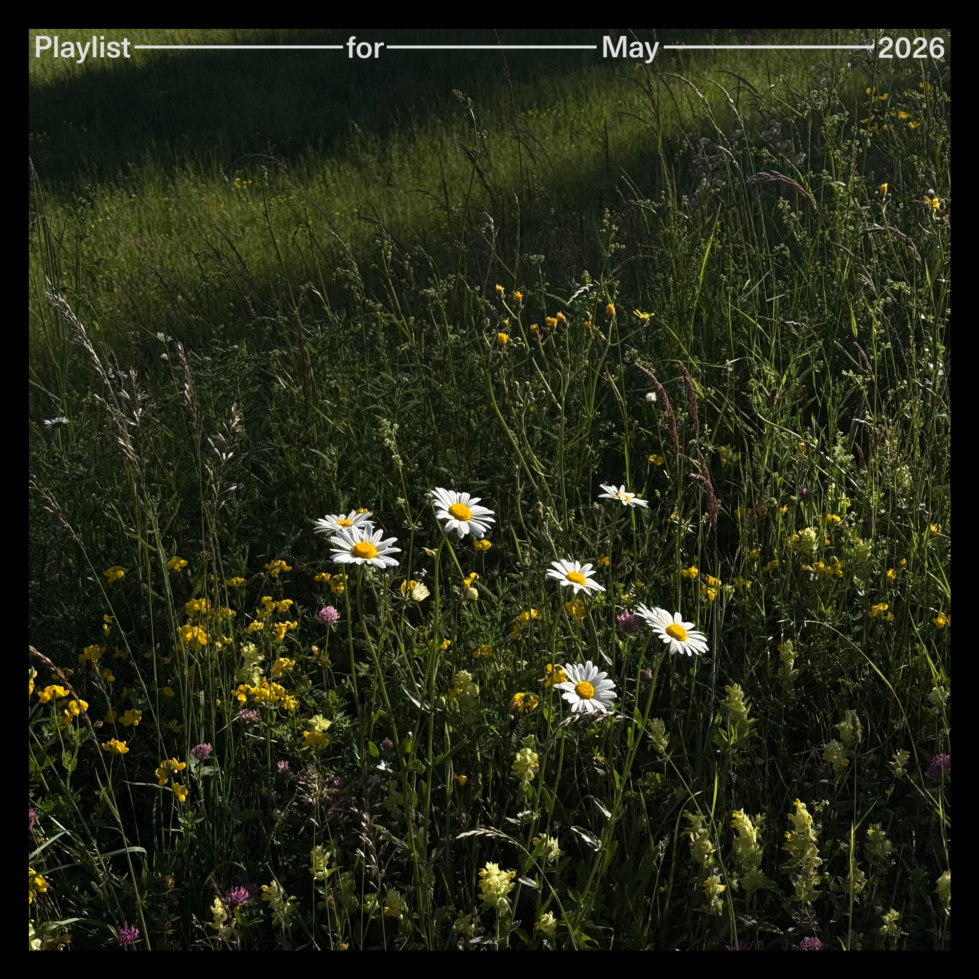 Playlist cover showing the shared grid system.